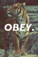 /album/fenykepgaleria/obey-jpg/